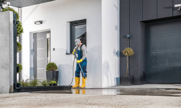 Best Graffiti Removal  in Honsville, GA